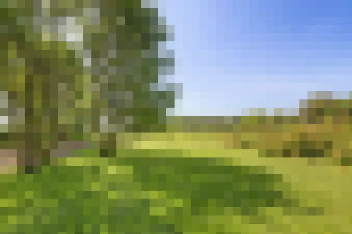 Rijndijk 257 A Hazerswoude-Rijndijk thumbnail 114