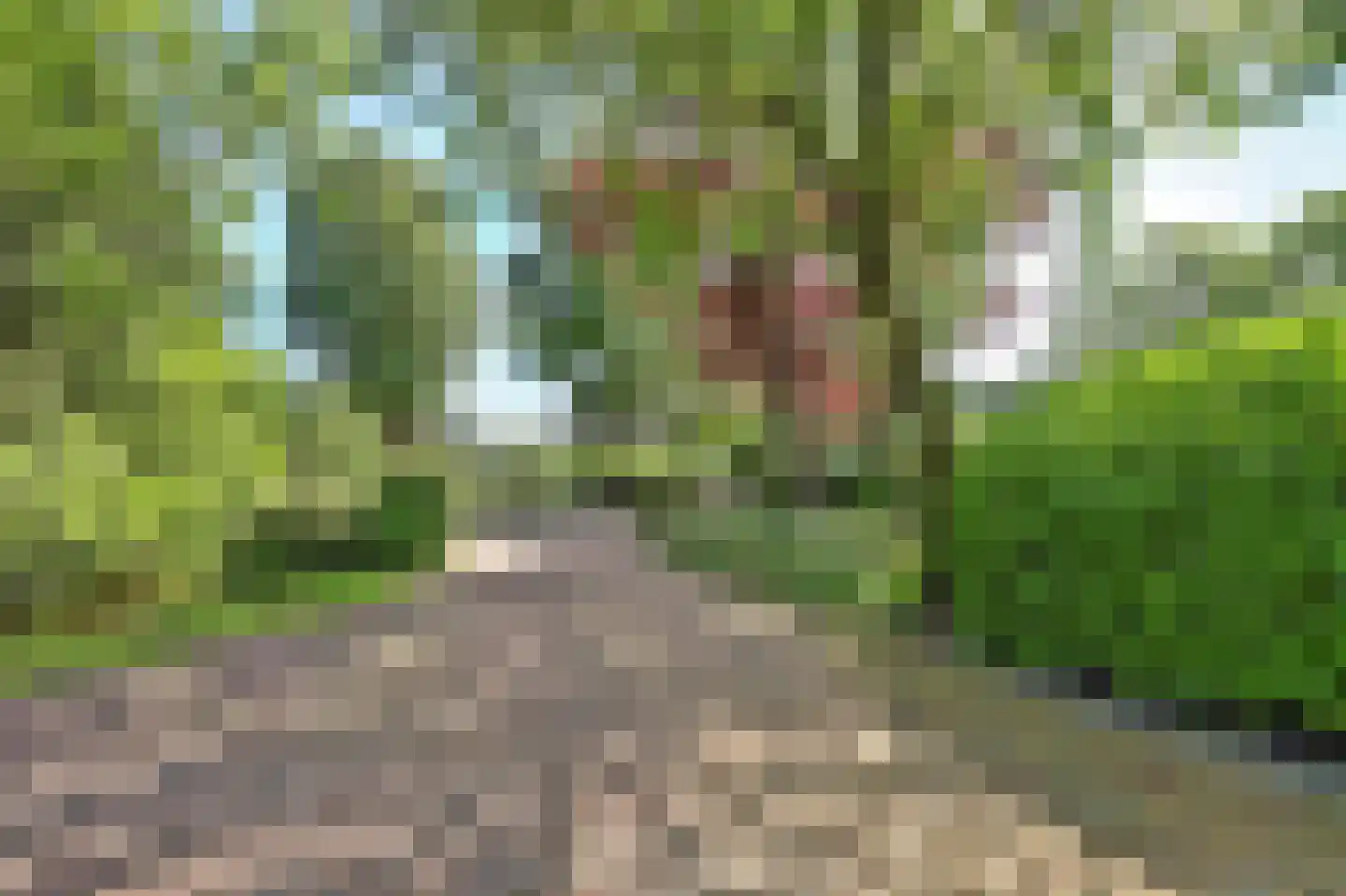 Rijndijk 257 A Hazerswoude-Rijndijk thumbnail 116