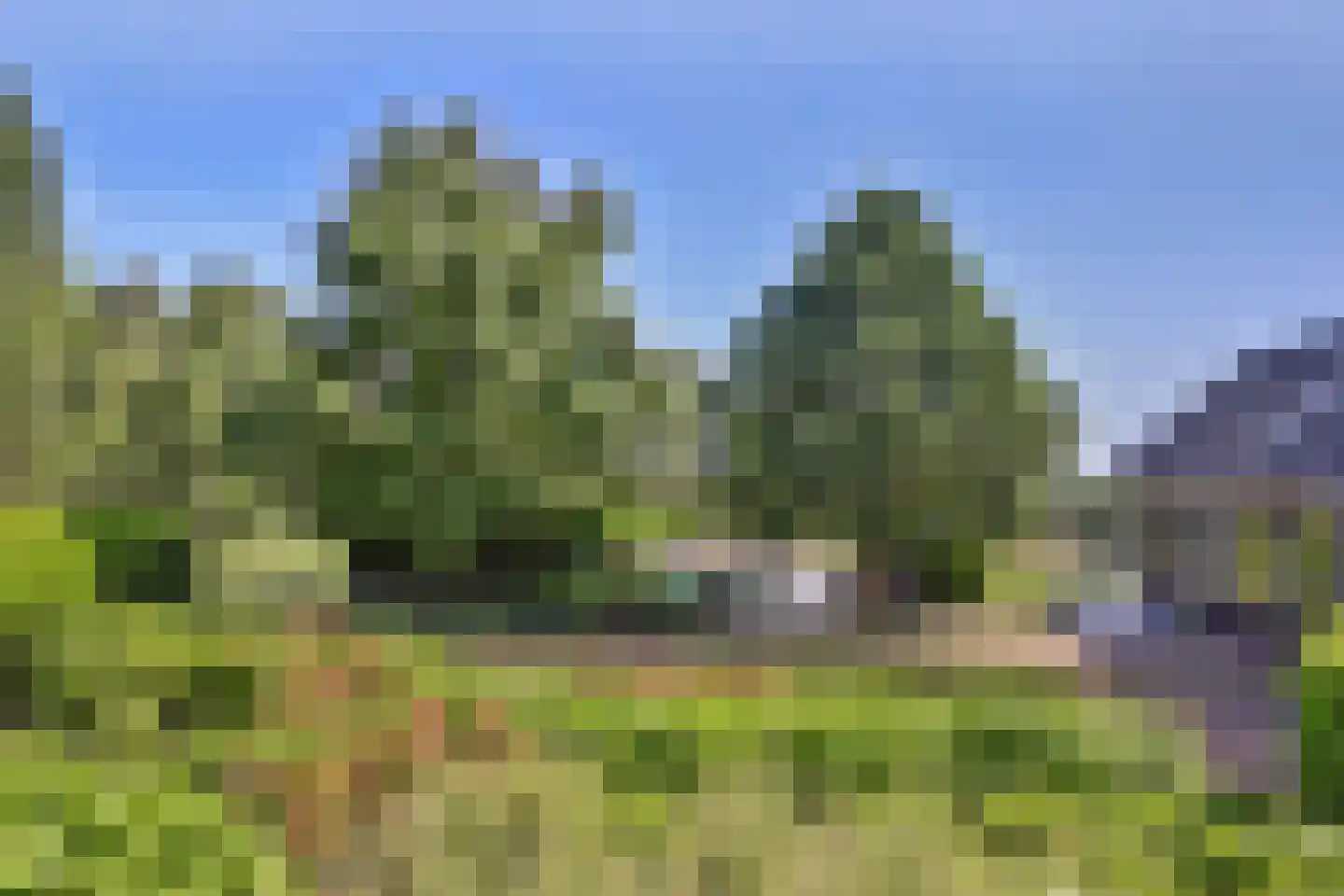 Rijndijk 257 A Hazerswoude-Rijndijk thumbnail 118