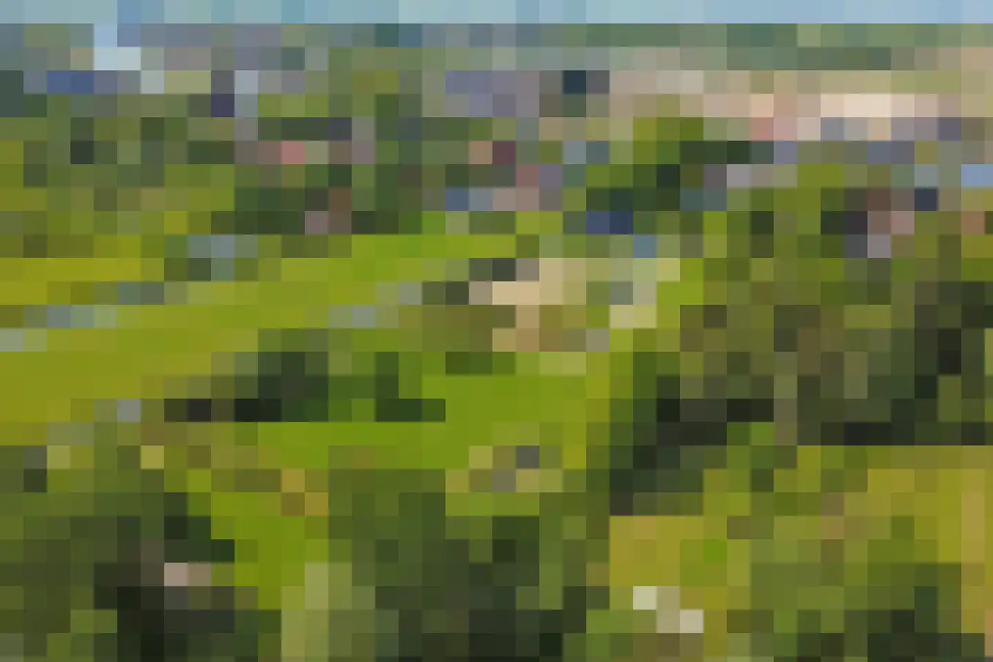 Rijndijk 257 A Hazerswoude-Rijndijk thumbnail 123