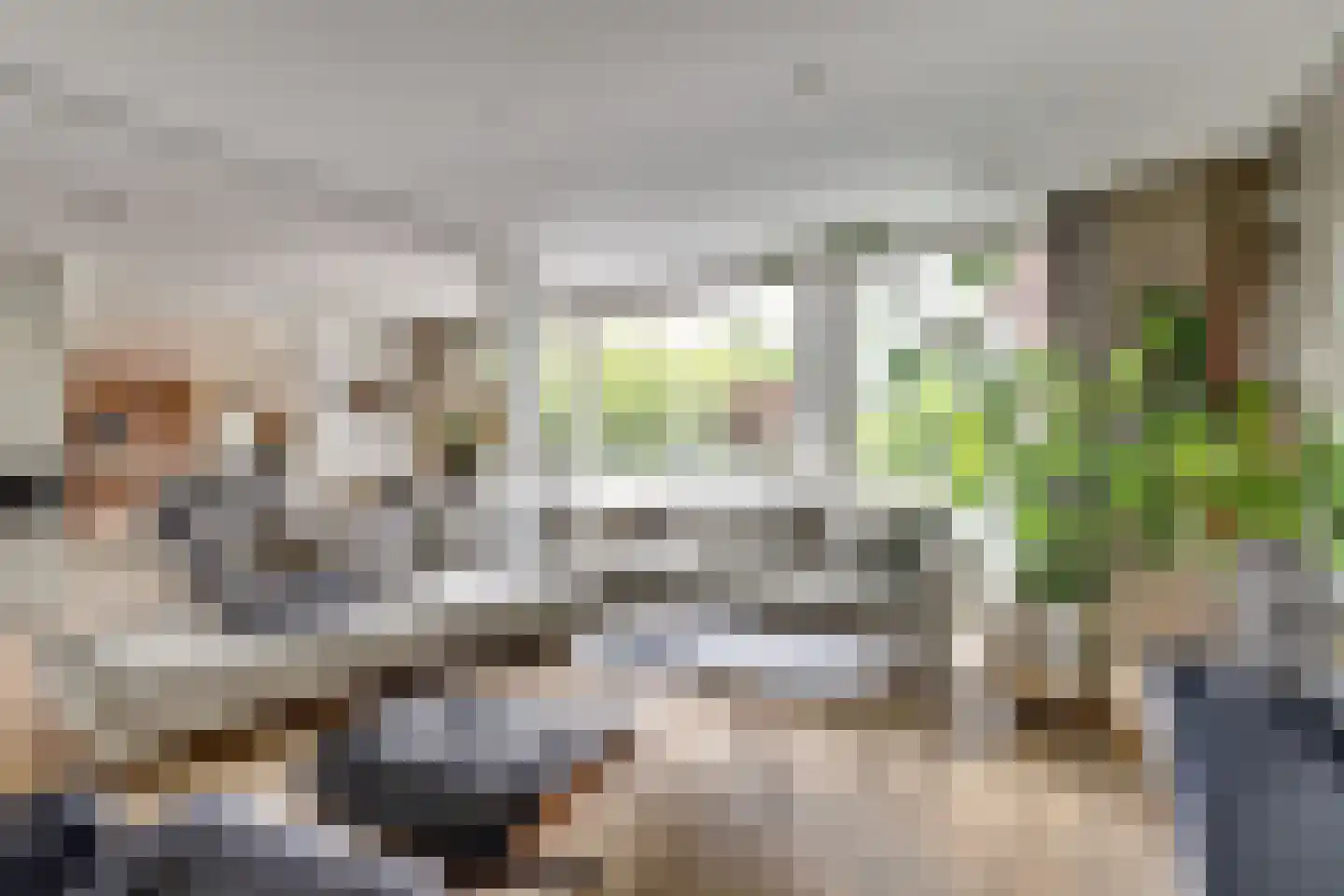 Rijndijk 257 A Hazerswoude-Rijndijk thumbnail 17
