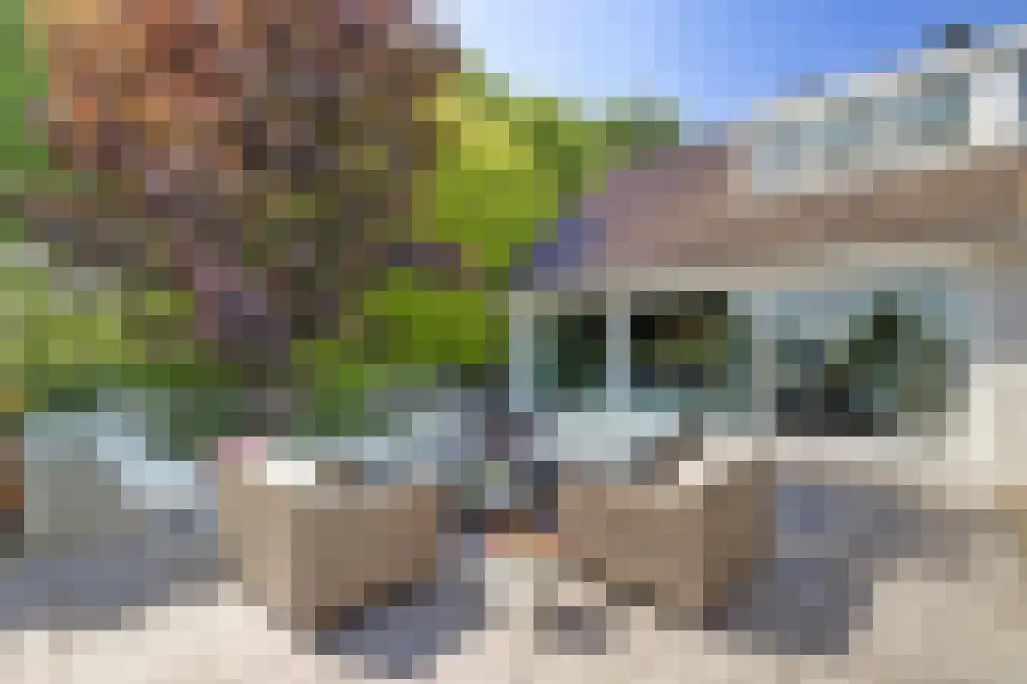 Rijndijk 257 A Hazerswoude-Rijndijk thumbnail 70