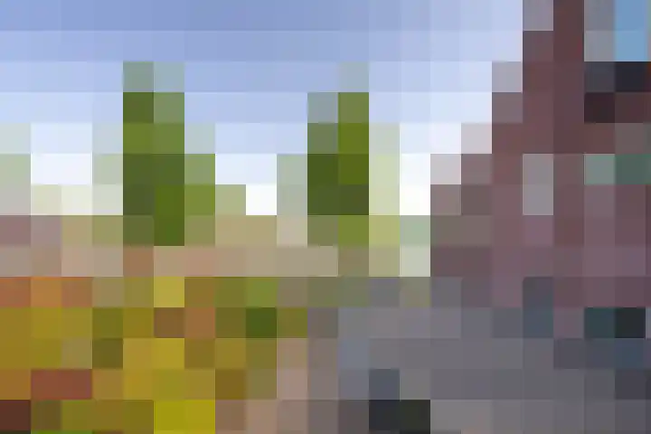 Rijndijk 262 Hazerswoude-Rijndijk thumbnail 16