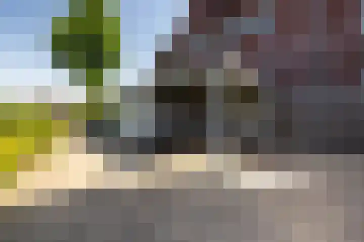 Rijndijk 262 Hazerswoude-Rijndijk thumbnail 19