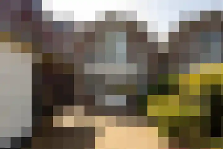 Rijndijk 262 Hazerswoude-Rijndijk thumbnail 20