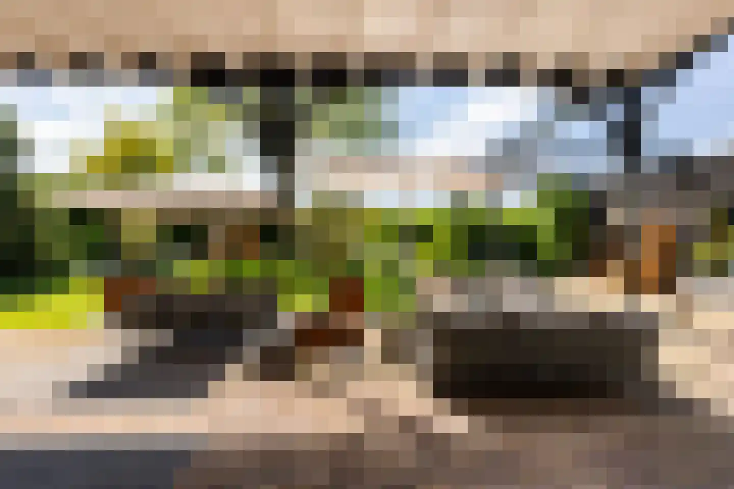 Rijndijk 28 Millingen aan de Rijn foto 3