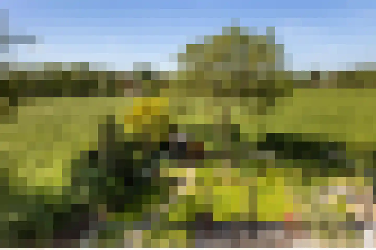 Rijndijk 28 Millingen aan de Rijn thumbnail 33
