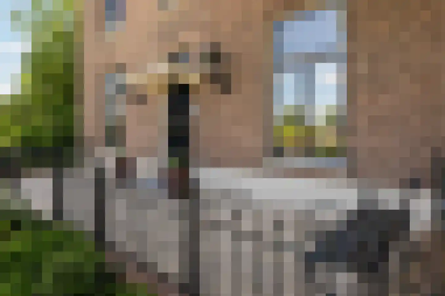 Rijndijk 28 Millingen aan de Rijn thumbnail 5