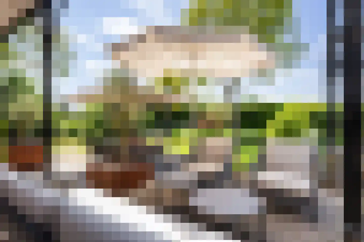 Rijndijk 28 Millingen aan de Rijn thumbnail 61