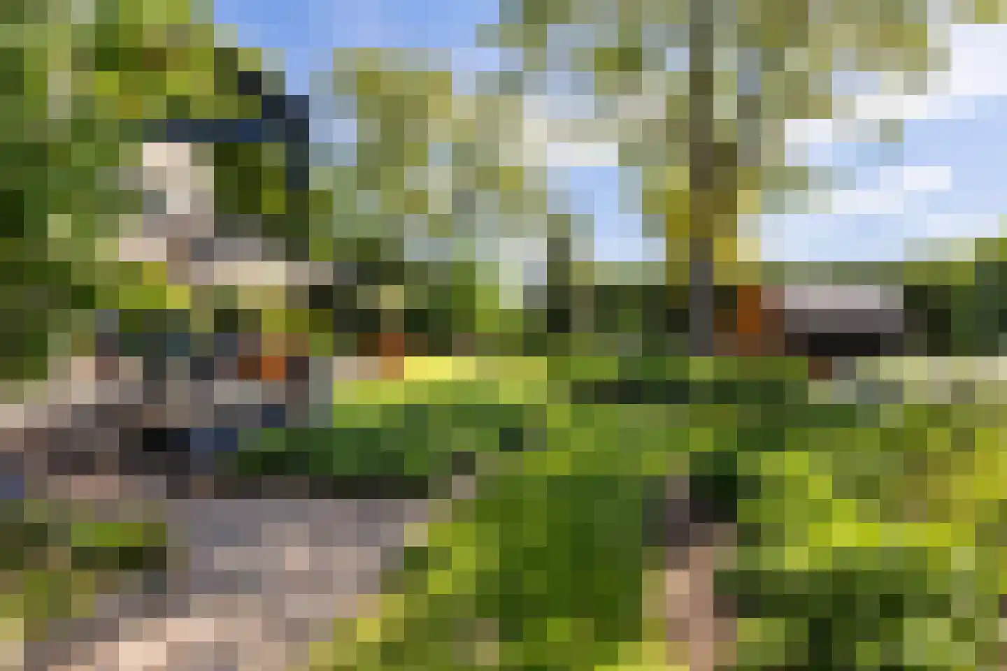 Rijndijk 28 Millingen aan de Rijn thumbnail 65