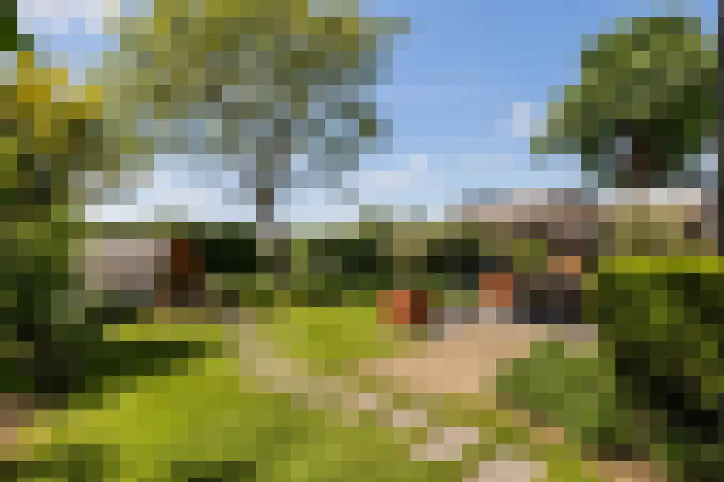 Rijndijk 28 Millingen aan de Rijn thumbnail 66