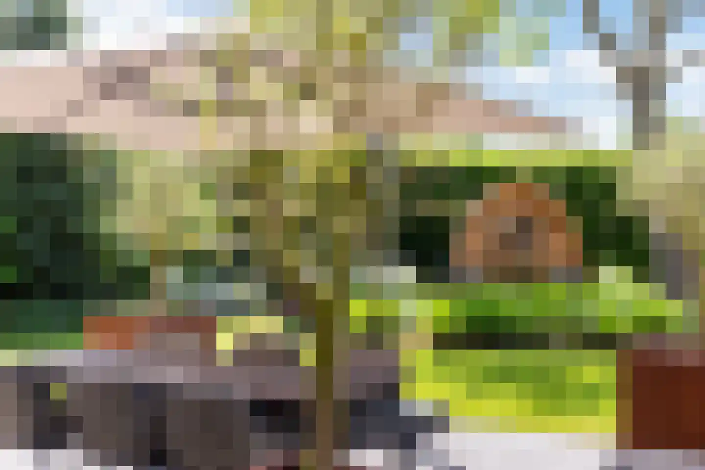 Rijndijk 28 Millingen aan de Rijn thumbnail 69