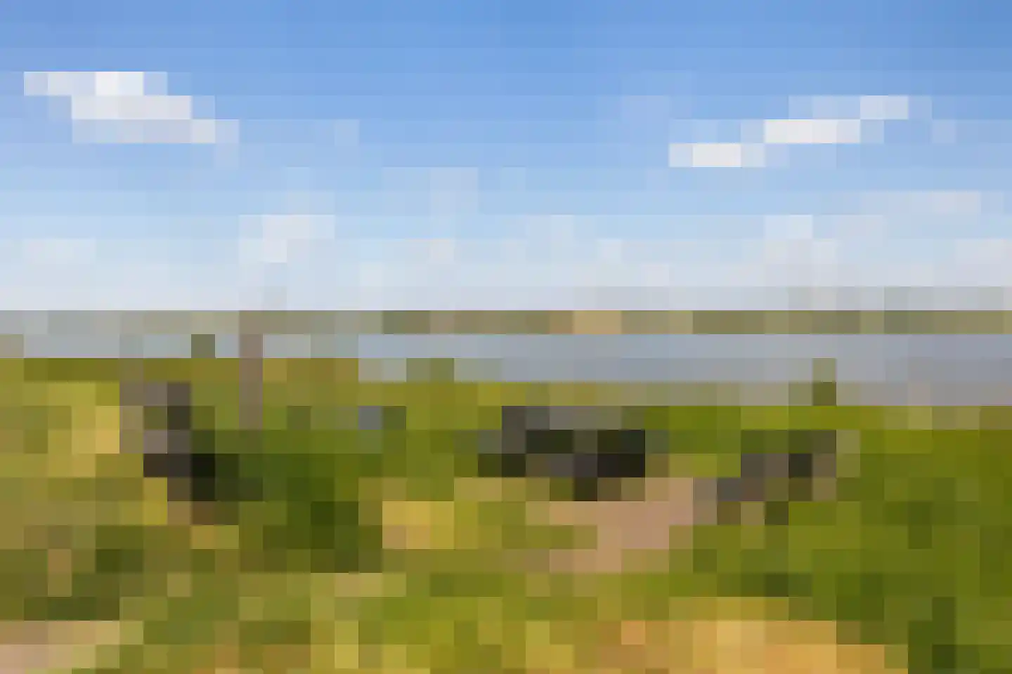 Rijndijk 28 Millingen aan de Rijn thumbnail 83