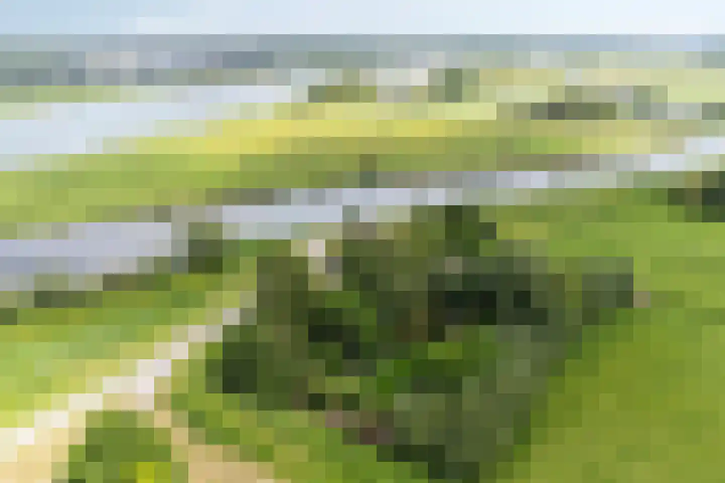 Rijndijk 29 Lienden thumbnail 10