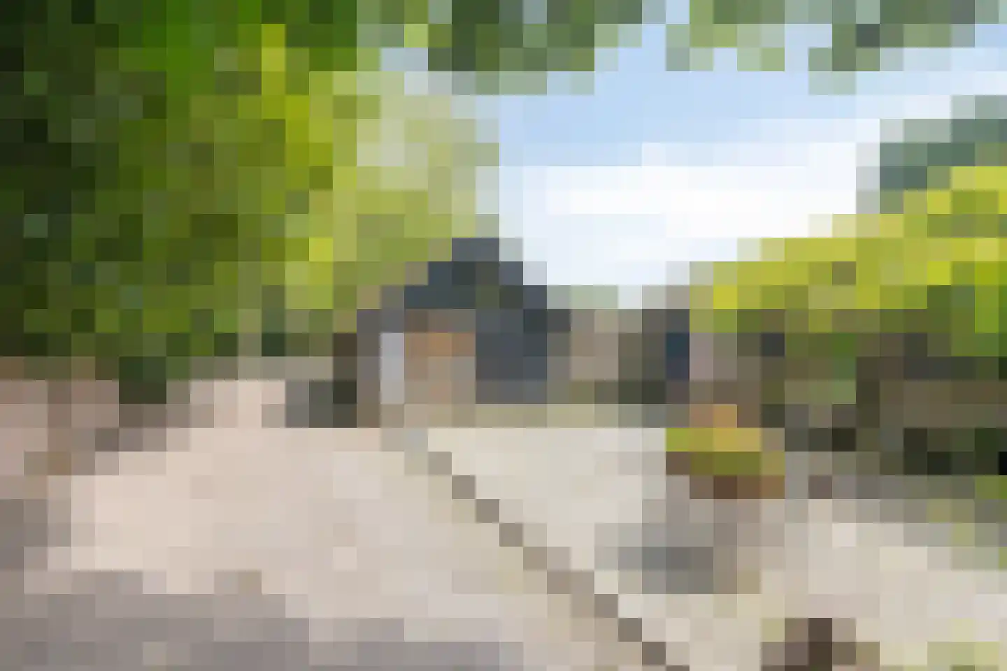 Rijndijk 29 Lienden thumbnail 15