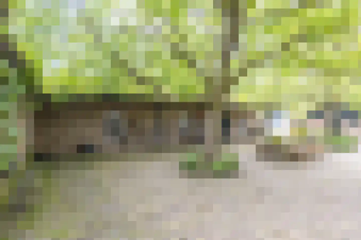 Rijndijk 29 Lienden thumbnail 16