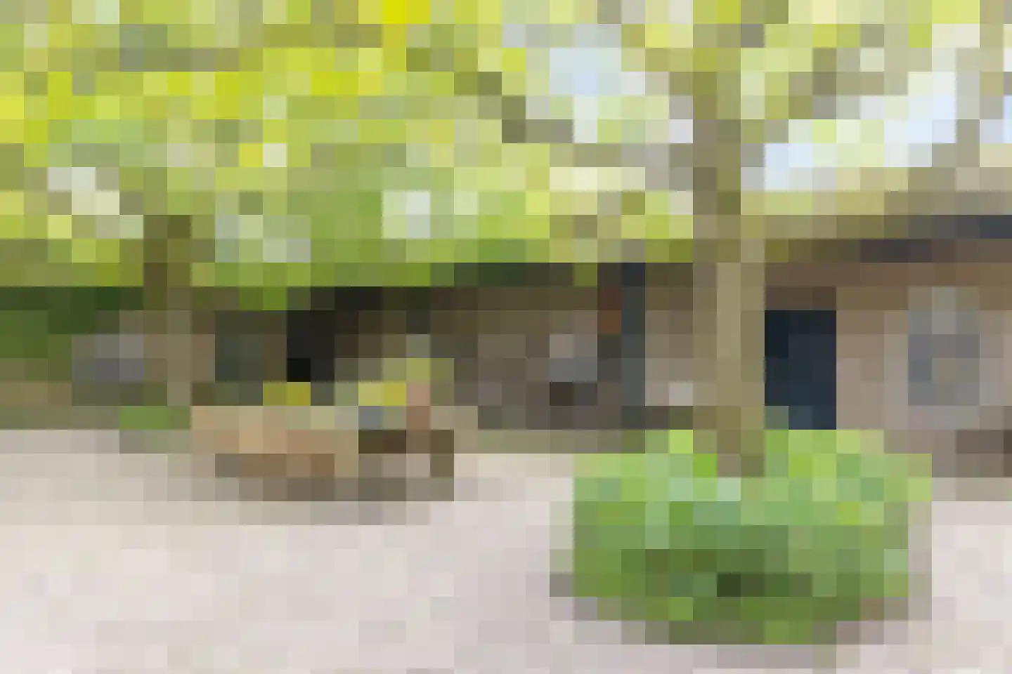 Rijndijk 29 Lienden thumbnail 17