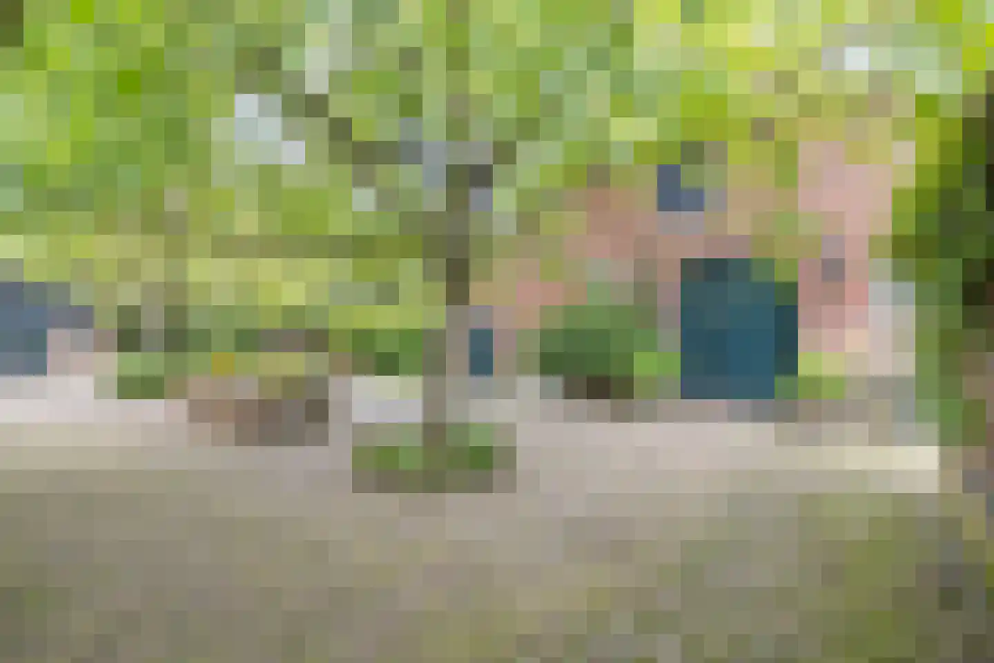 Rijndijk 29 Lienden thumbnail 4