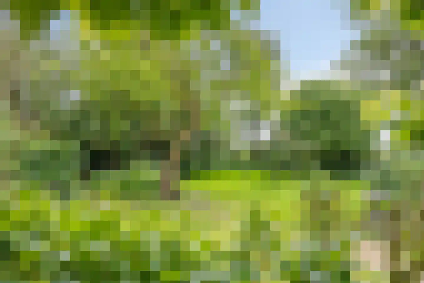Rijndijk 29 Lienden thumbnail 44