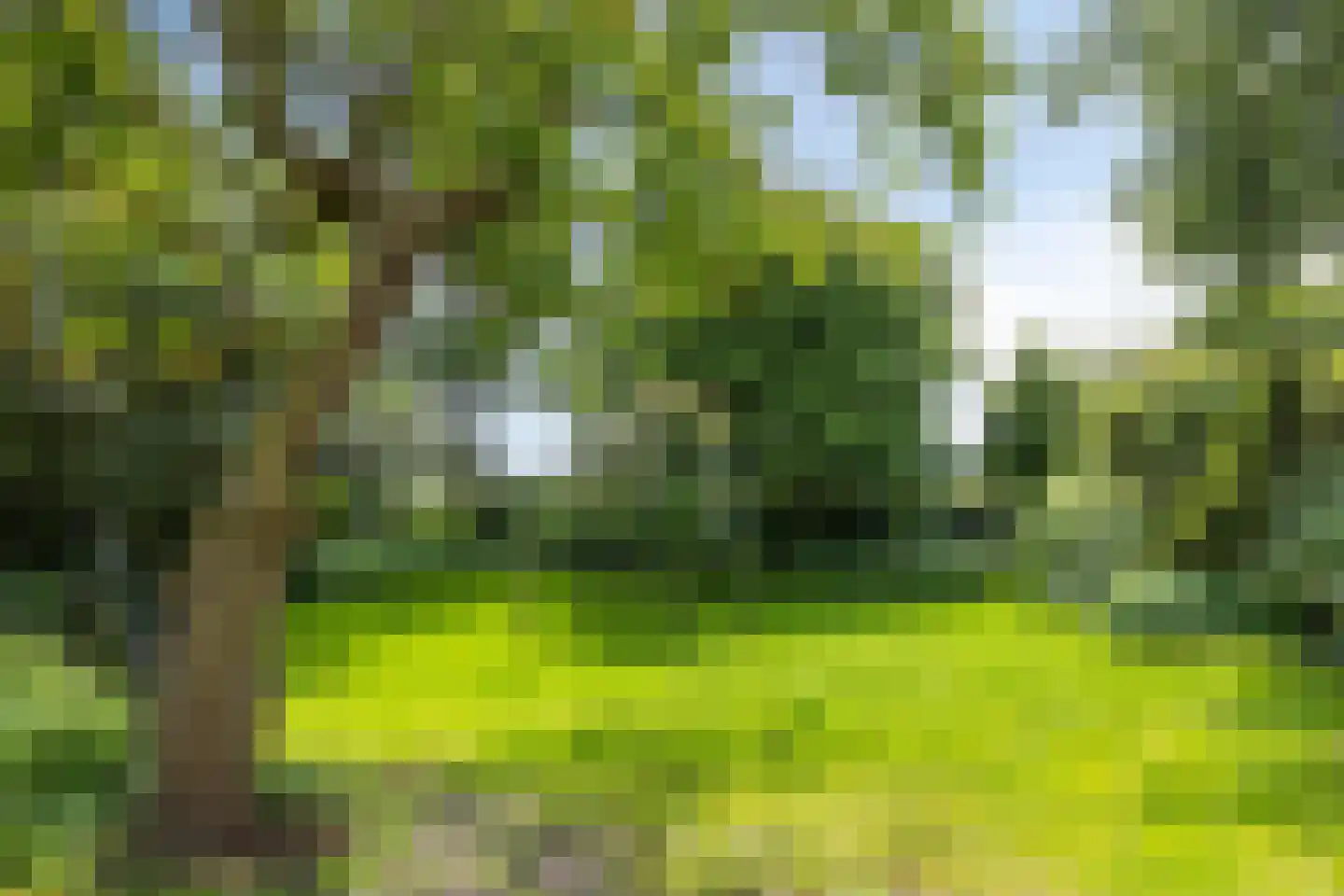 Rijndijk 29 Lienden thumbnail 45
