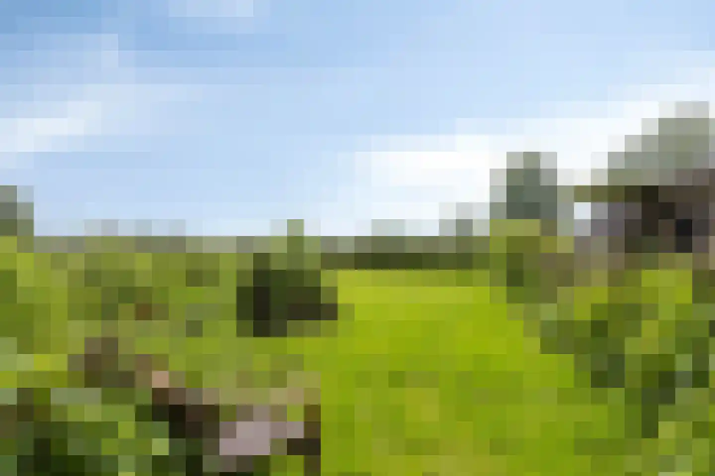 Rijndijk 29 Lienden thumbnail 48