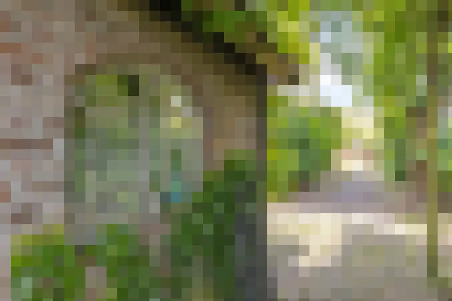 Rijndijk 29 Lienden thumbnail 49