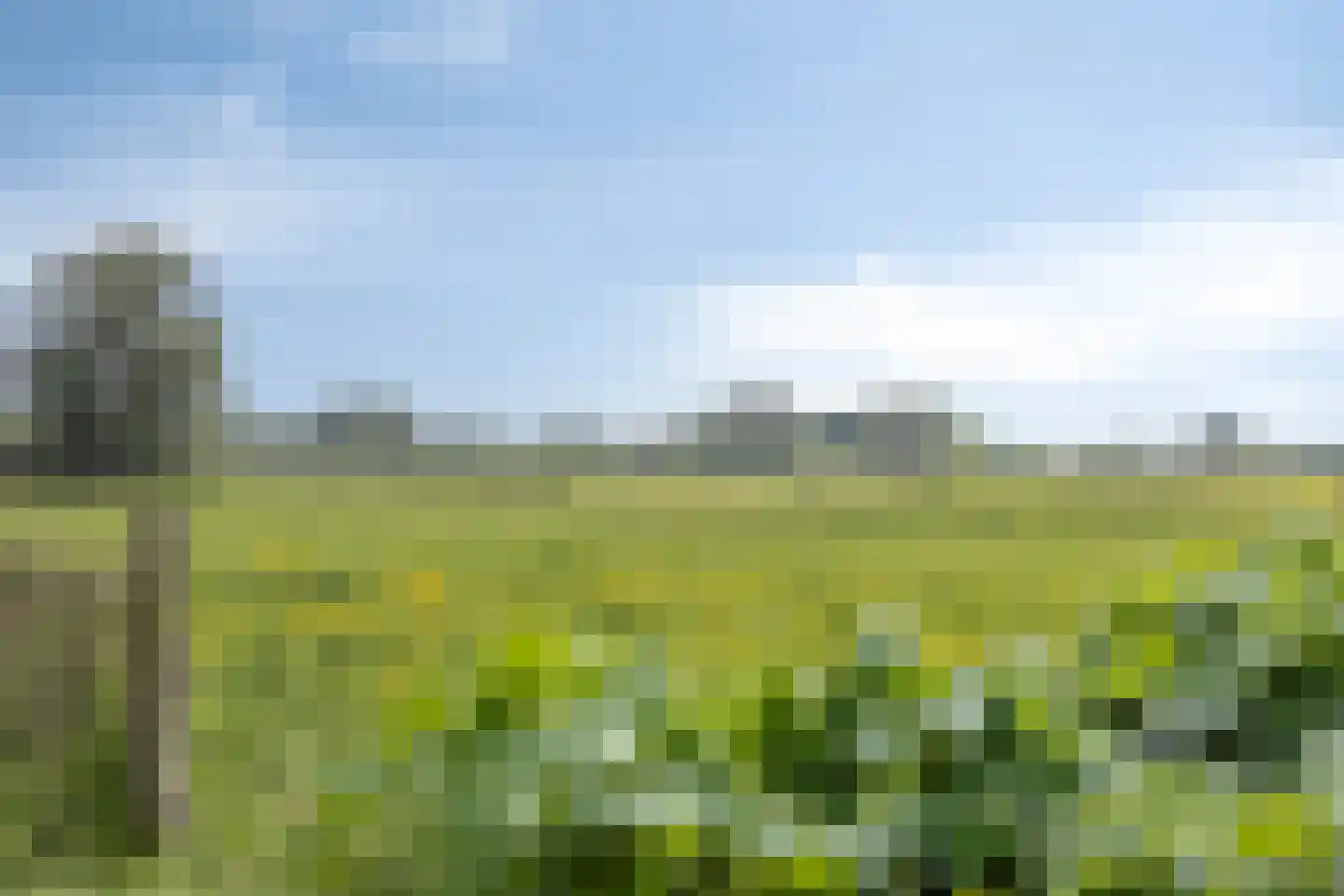 Rijndijk 29 Lienden thumbnail 63