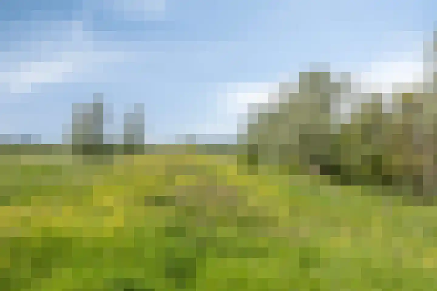 Rijndijk 29 Lienden thumbnail 65