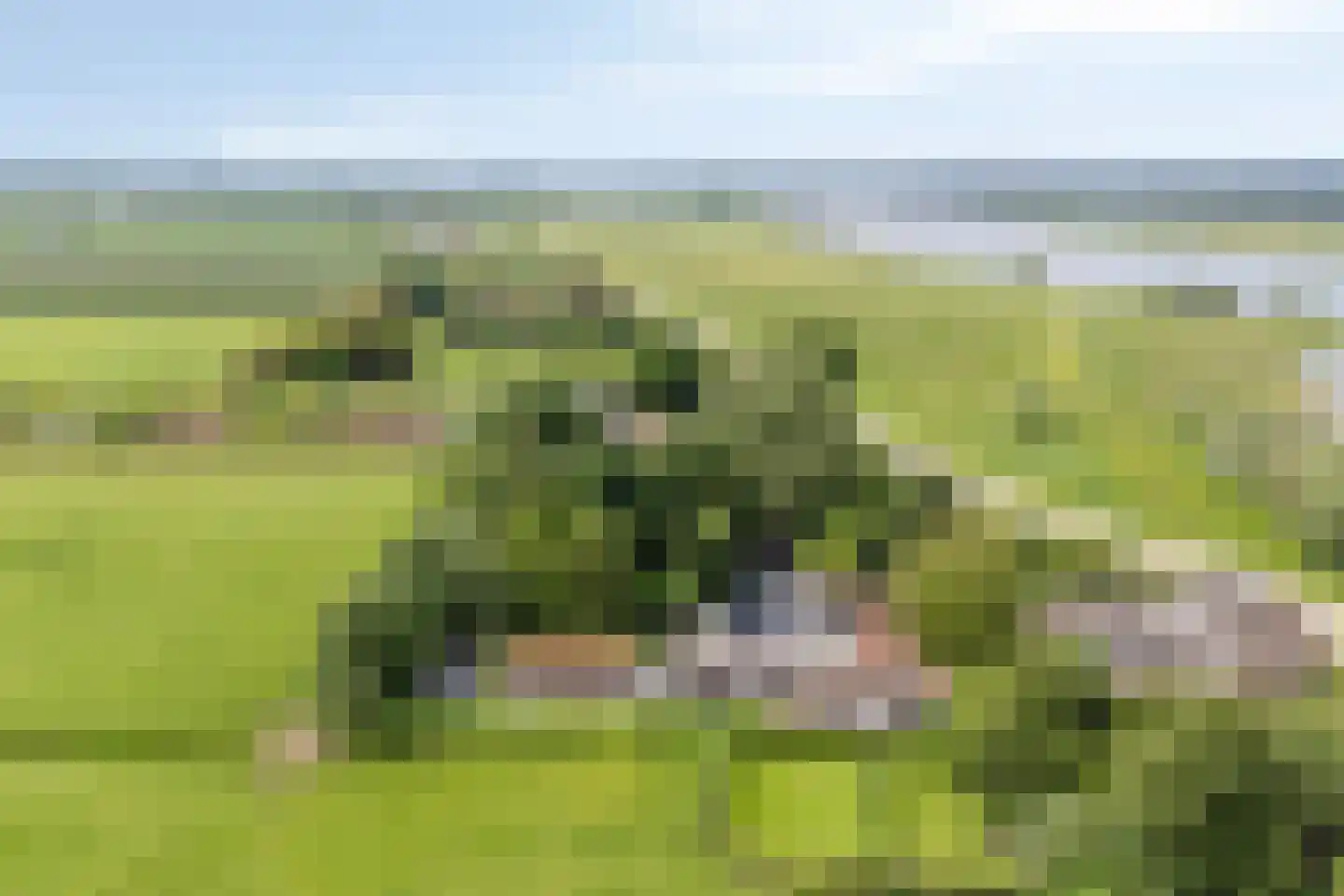 Rijndijk 29 Lienden thumbnail 9