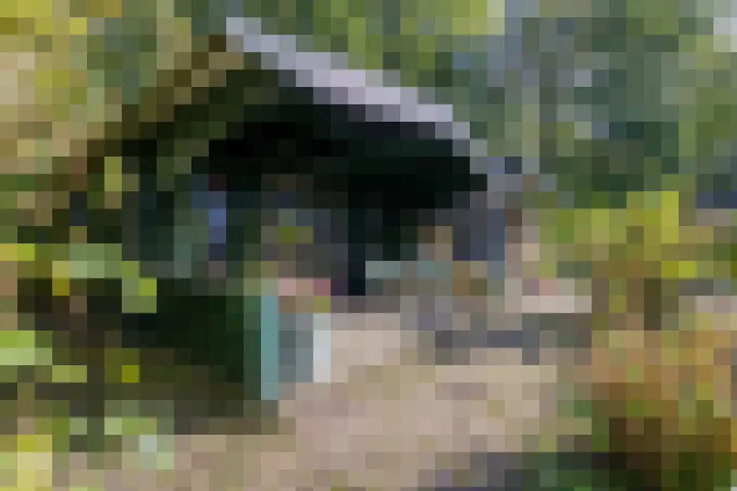 Rijndijk 3 Haarzuilens thumbnail 25