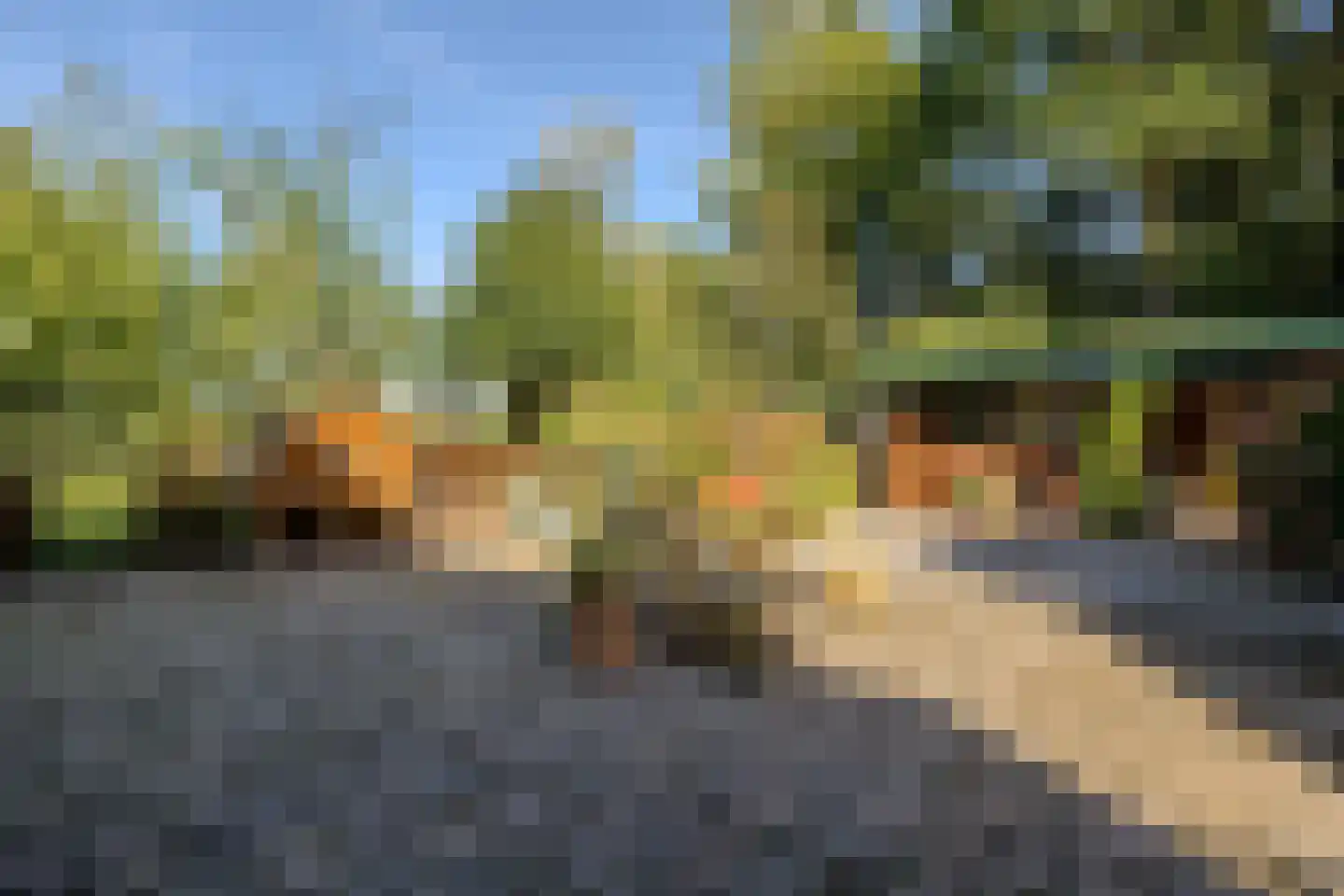 Rijndijk 3 Haarzuilens thumbnail 48