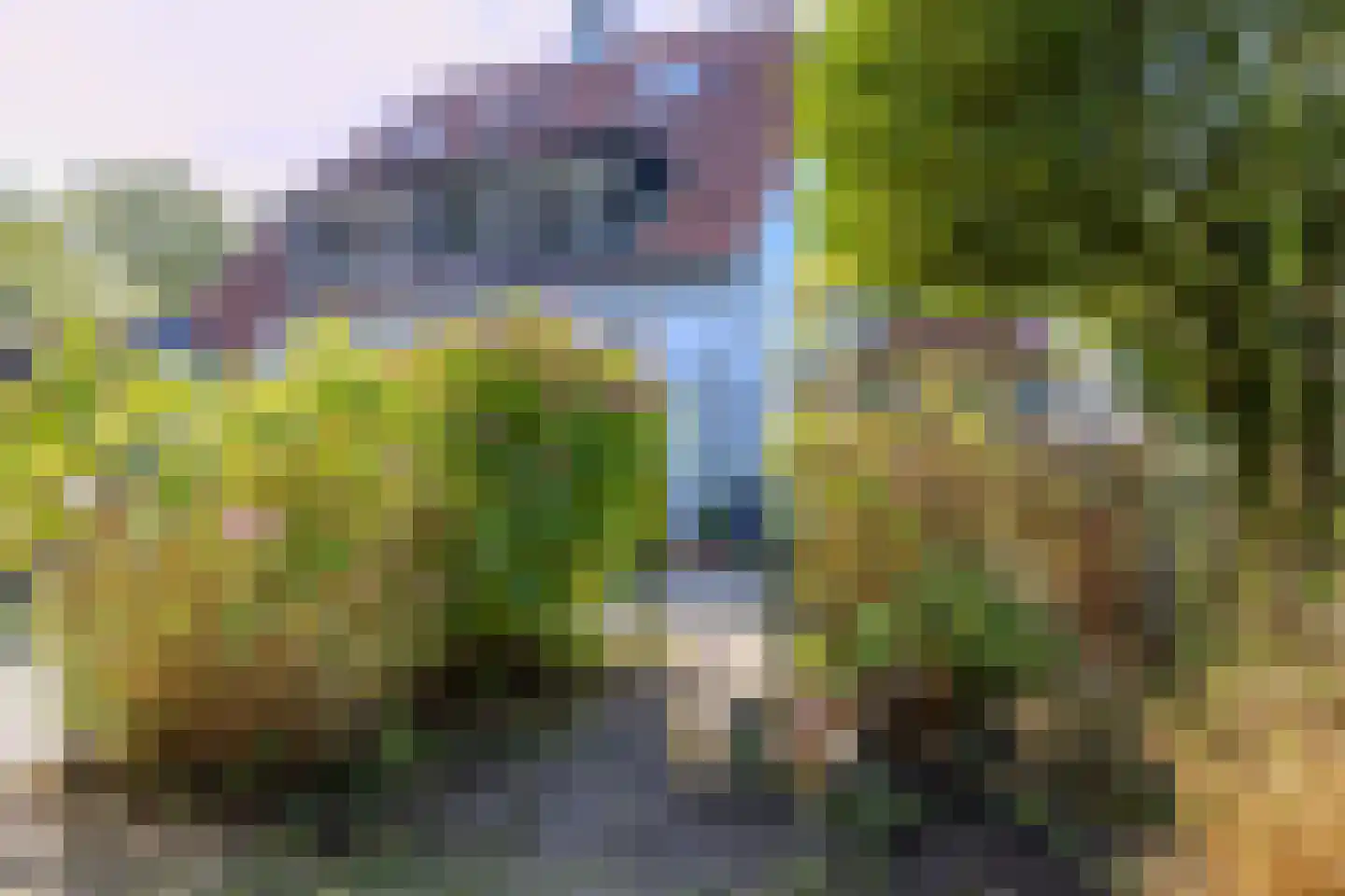 Rijndijk 3 Haarzuilens thumbnail 51
