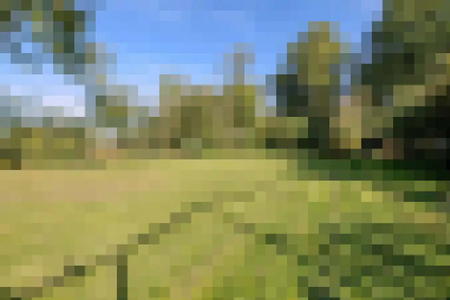 Rijndijk 3 Haarzuilens thumbnail 53
