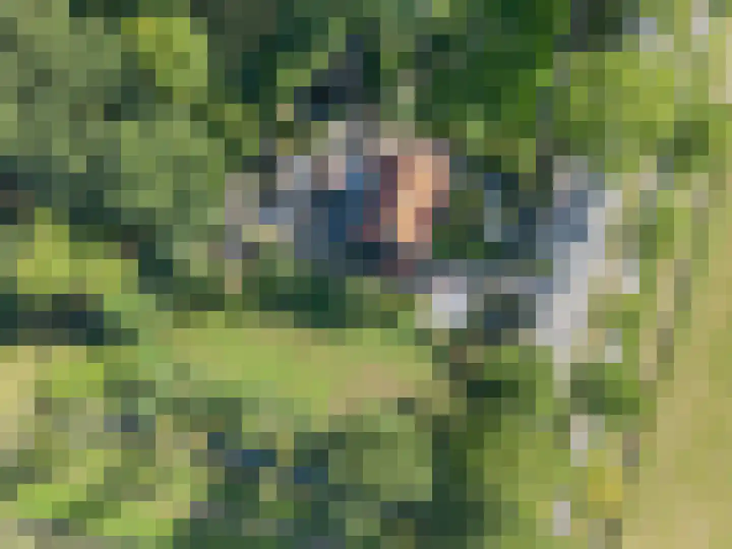 Rijndijk 3 Haarzuilens thumbnail 59