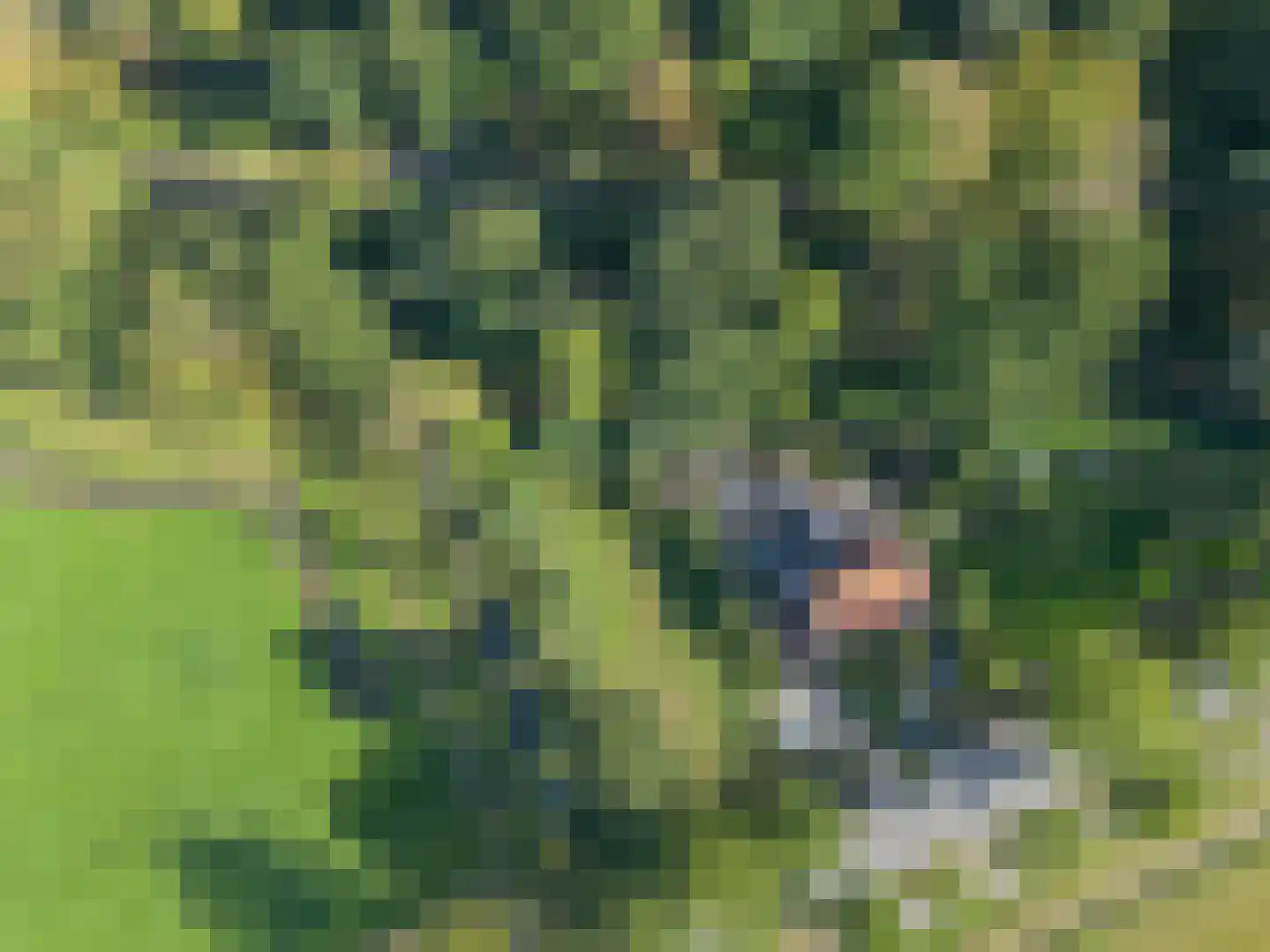 Rijndijk 3 Haarzuilens thumbnail 60
