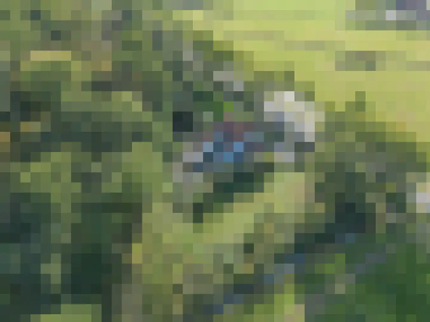 Rijndijk 3 Haarzuilens thumbnail 61