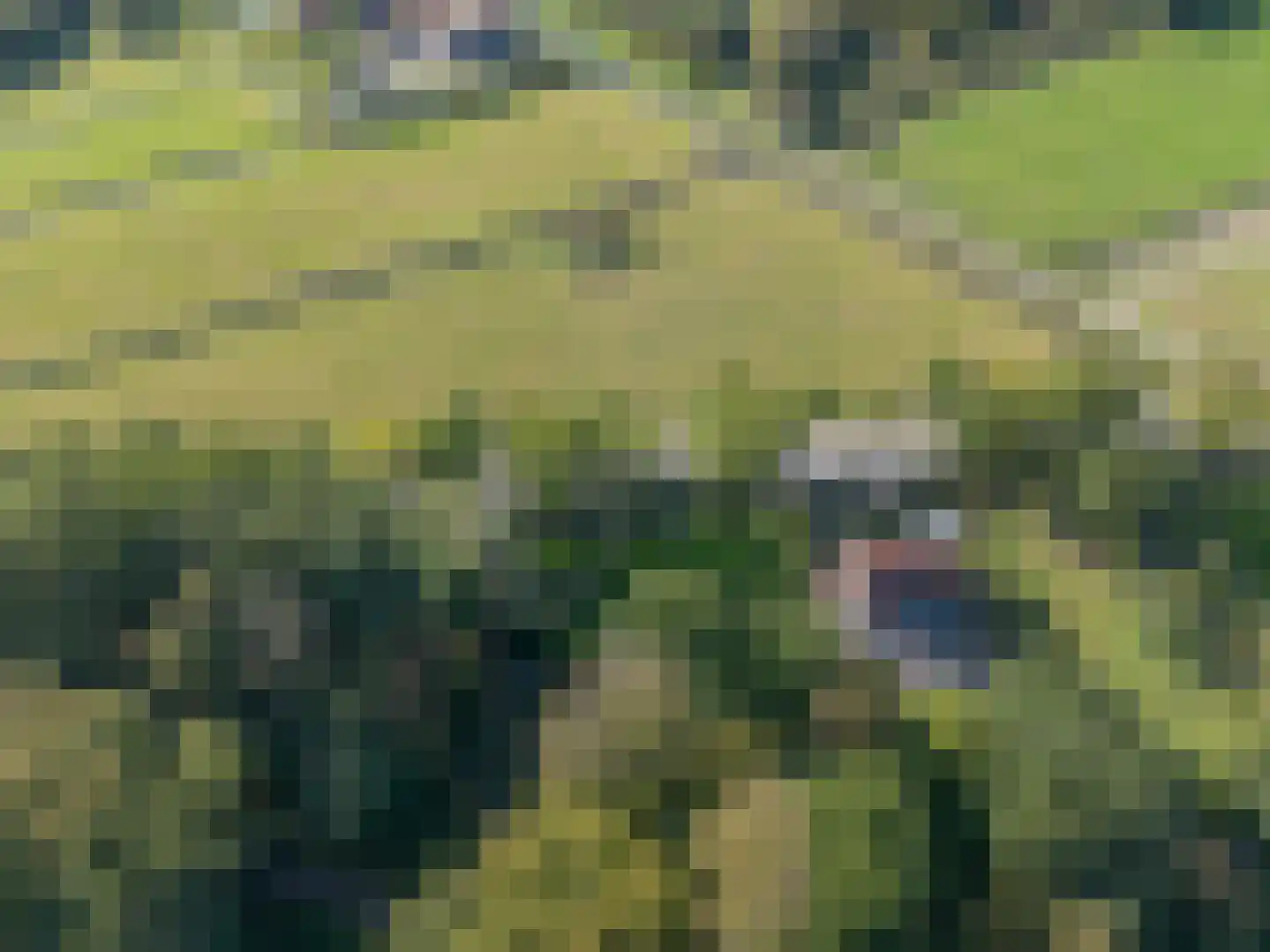 Rijndijk 3 Haarzuilens thumbnail 62