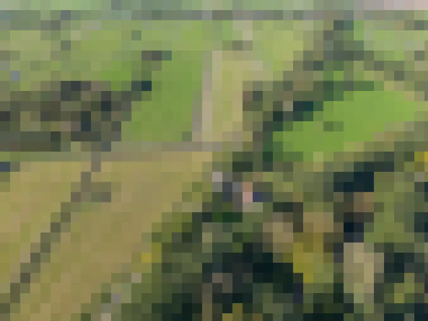 Rijndijk 3 Haarzuilens thumbnail 63