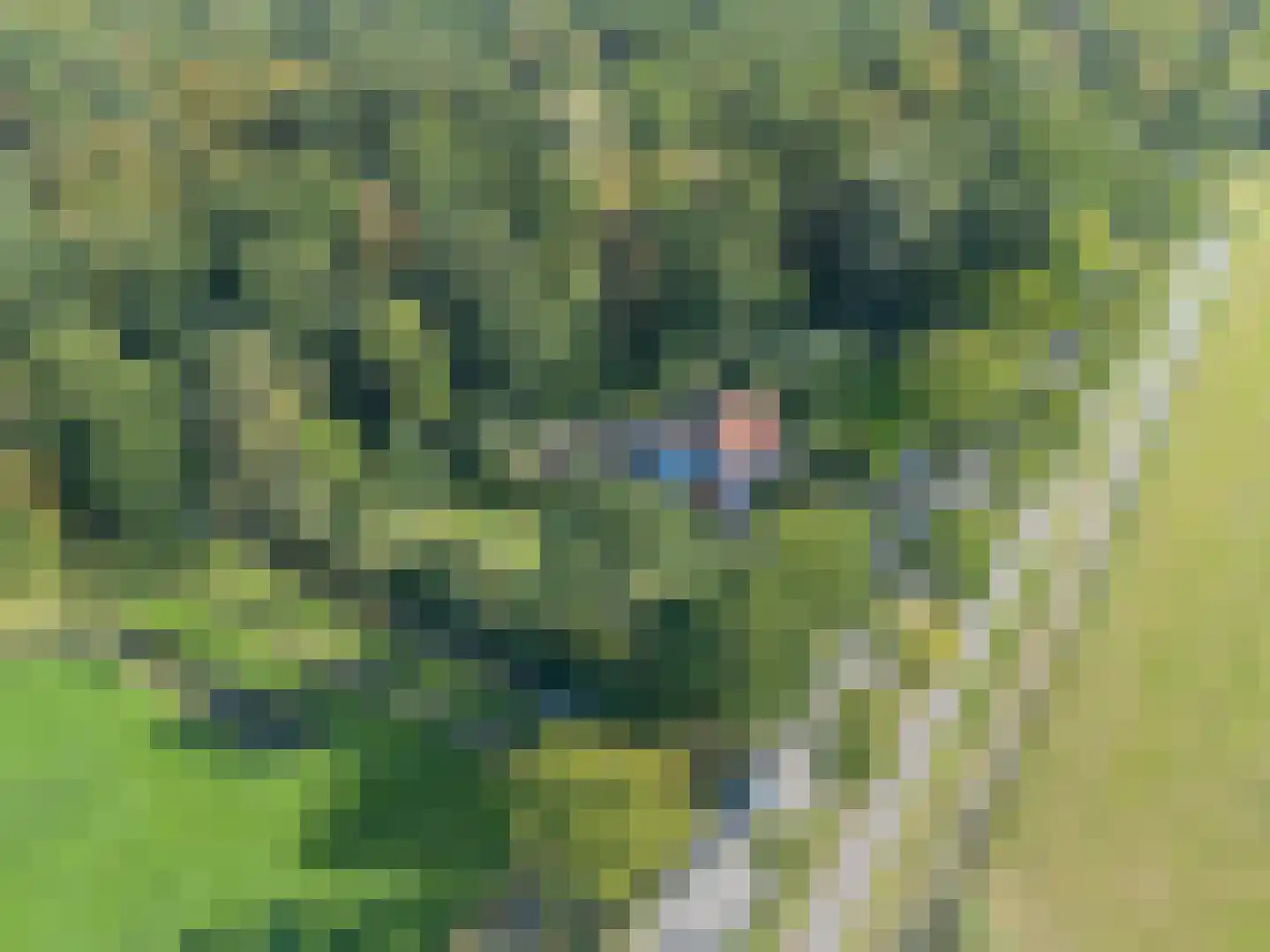 Rijndijk 3 Haarzuilens thumbnail 64
