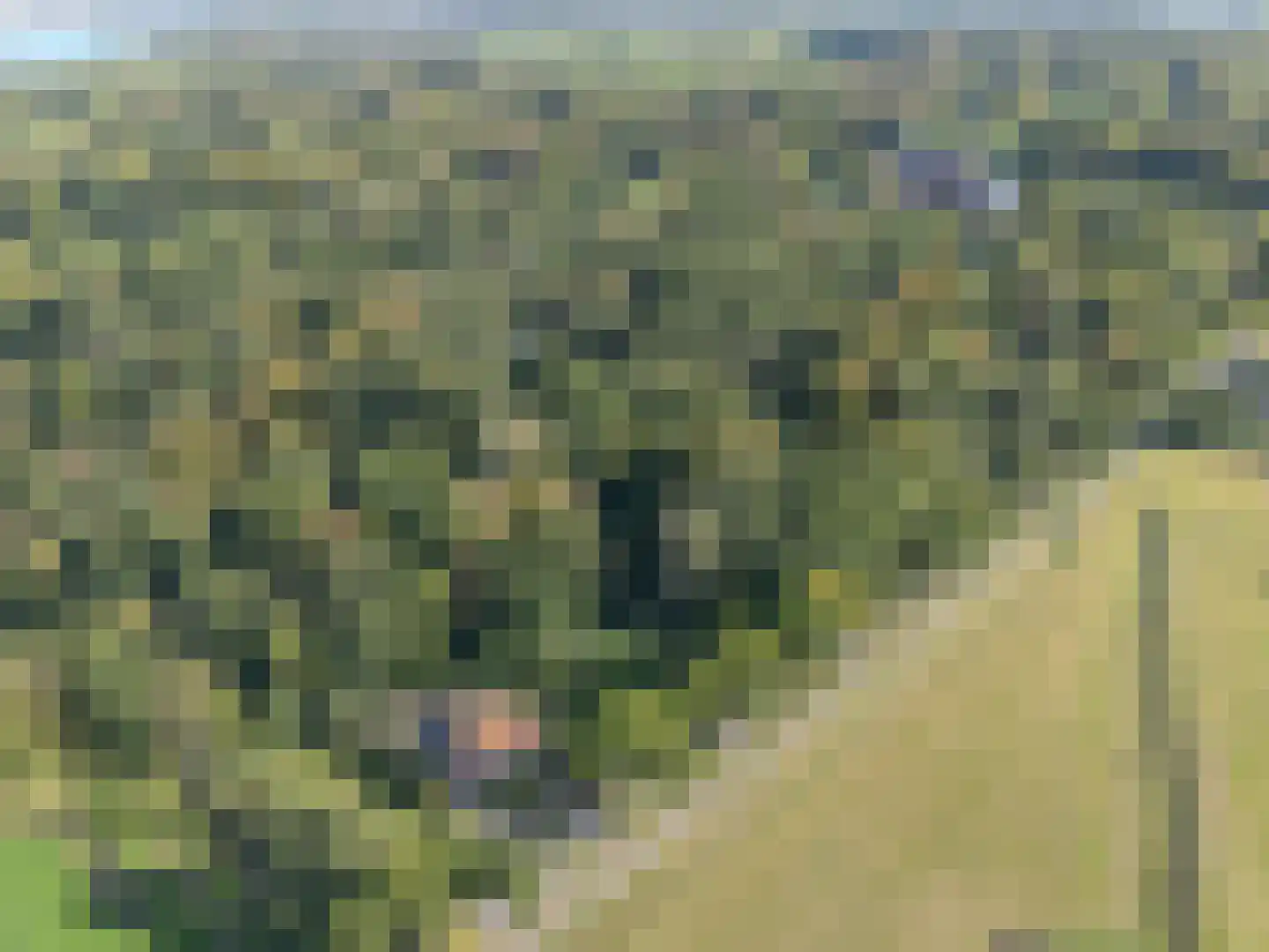 Rijndijk 3 Haarzuilens thumbnail 65
