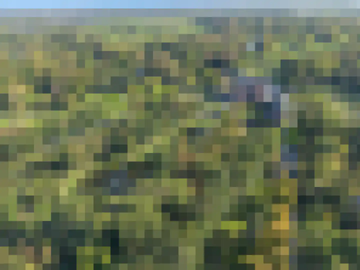 Rijndijk 3 Haarzuilens thumbnail 66