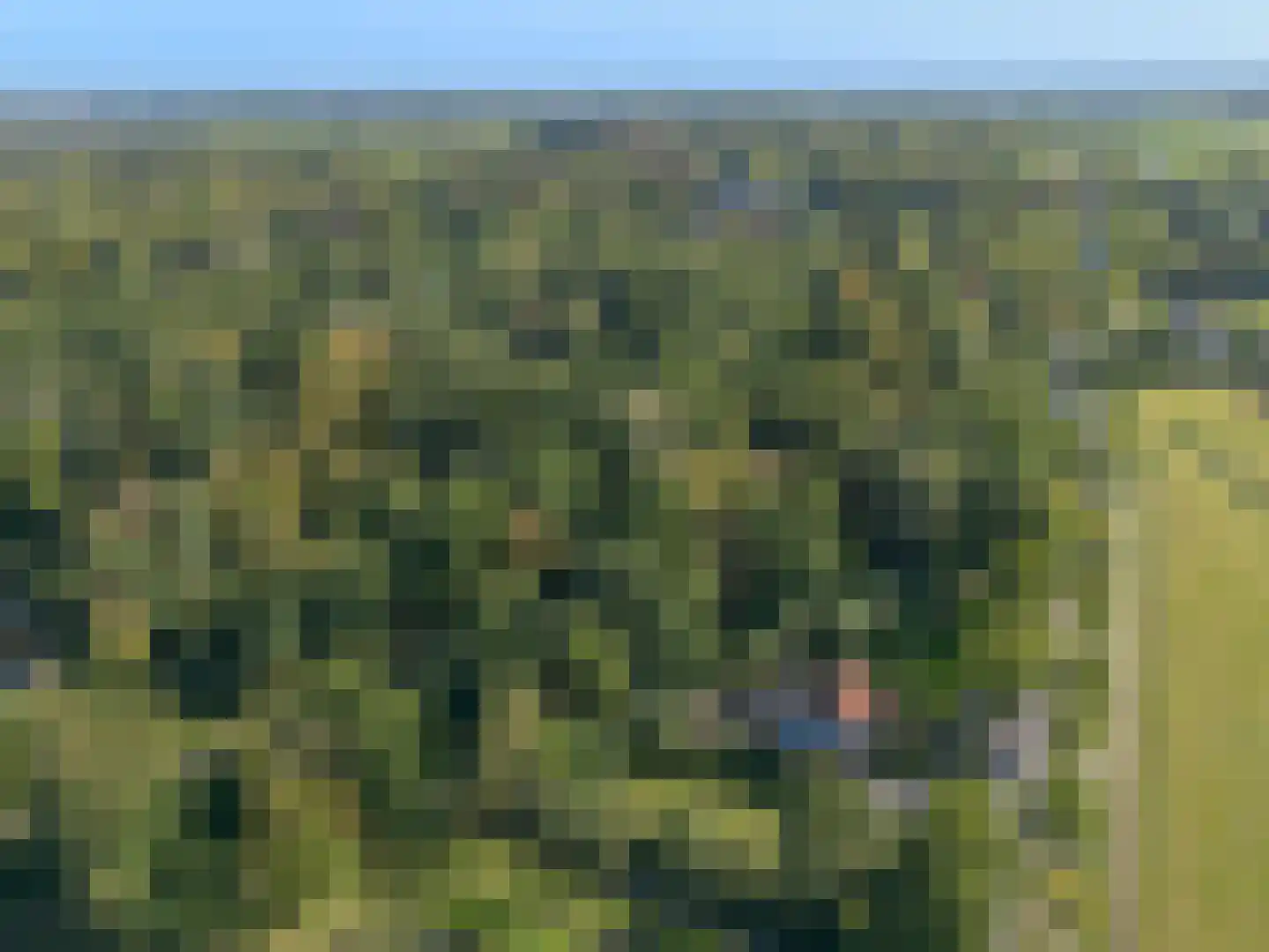 Rijndijk 3 Haarzuilens thumbnail 68