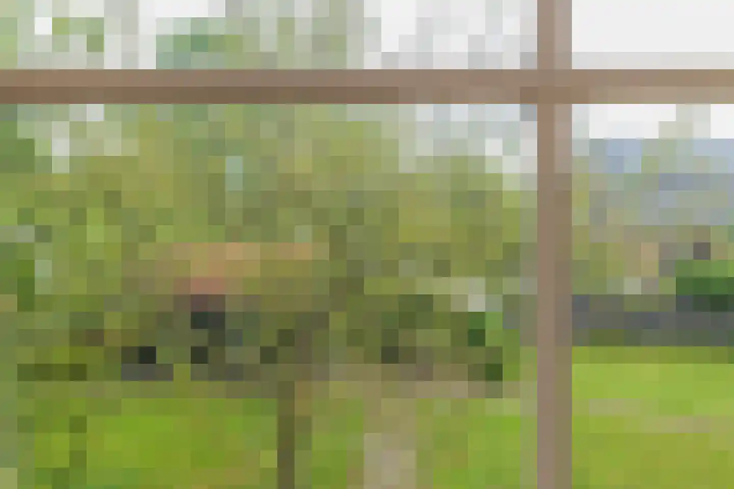 Rijndijk 300 Hazerswoude-Rijndijk thumbnail 21
