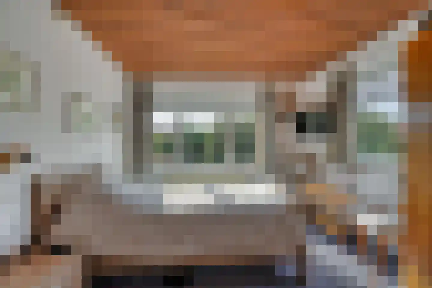 Rijndijk 31 Hazerswoude-Rijndijk thumbnail 18