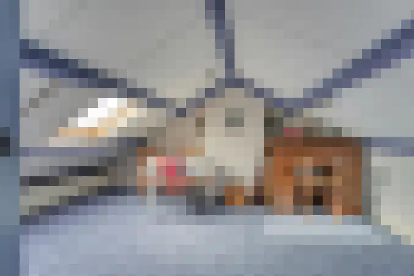Rijndijk 31 Hazerswoude-Rijndijk thumbnail 28