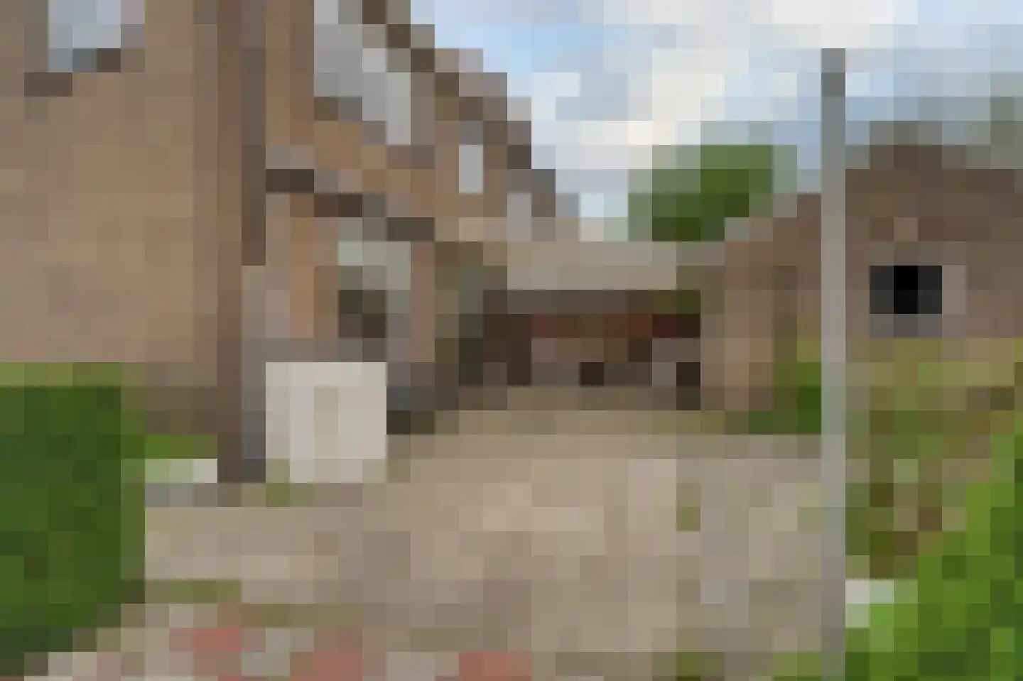 Rijndijk 31 Hazerswoude-Rijndijk thumbnail 32