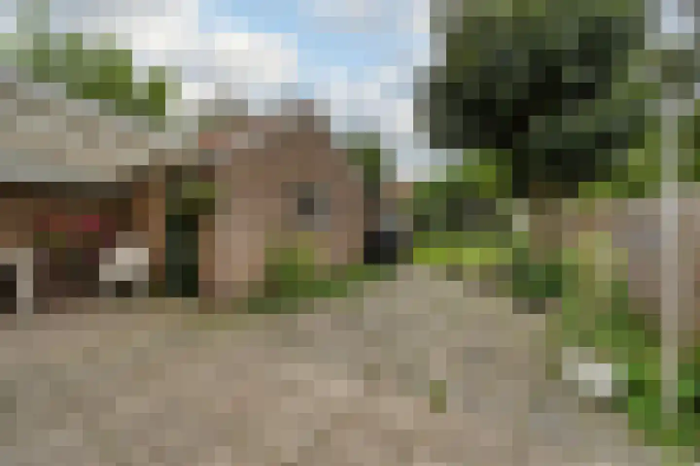 Rijndijk 31 Hazerswoude-Rijndijk thumbnail 7