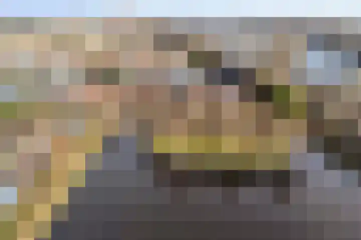 Rijndijk 40 in Leiden