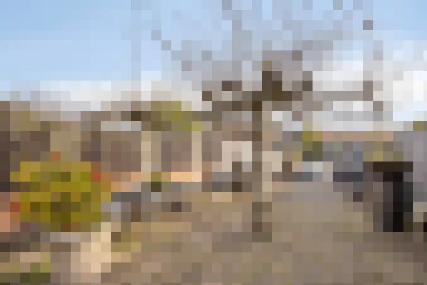 Rijndijk 40 Leiden thumbnail 37