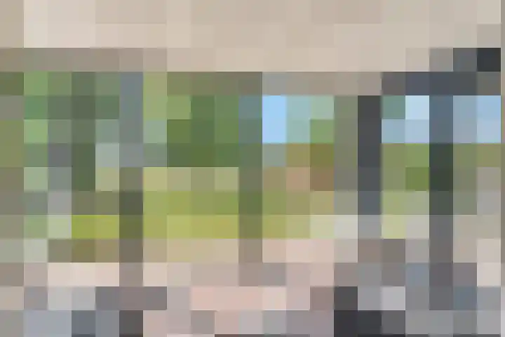 Rijndijk 41 Doornenburg thumbnail 20